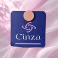 Elegant Magnetic Pin