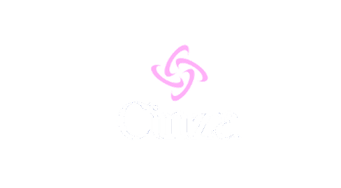 Translation missing: en.cinza accessibility.home
